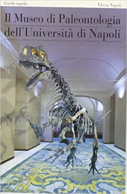 Il museo di paleontologia dell’Università di Napoli