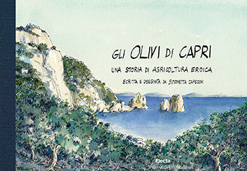 Gli olivi di Capri, una storia di agricoltura eroica