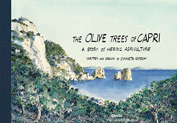 The Olive Trees of Capri, a story of heroic agriculture