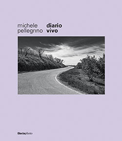 Michele Pellegrino. Diario vivo